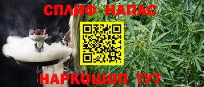 сатива Будённовск