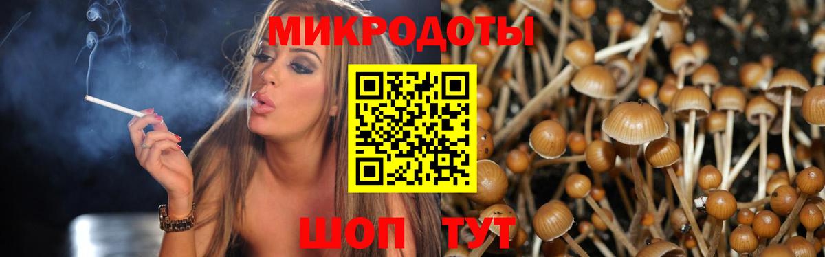 Солнечногорск  купить наркотики цена  Вход с VPN  Галлюциногенные грибы GOLDEN TEACHER 