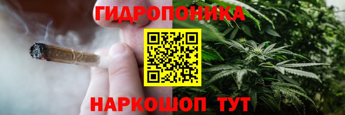 Каннабис конопля Солнечногорск